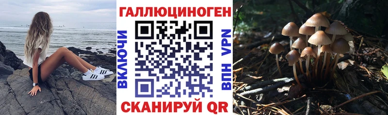 наркотики  MEGA зеркало  Псилоцибиновые грибы Psilocybine cubensis  Шатура 